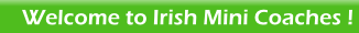 Welcome to Irish Mini Coaches